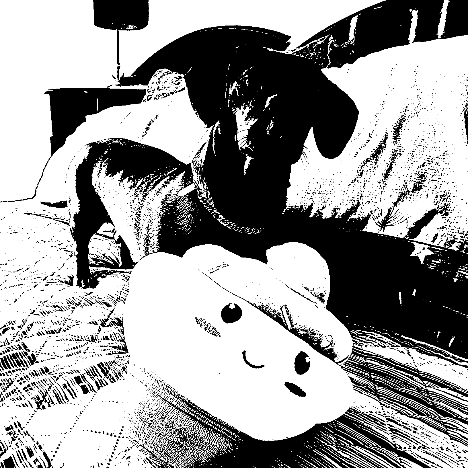 La foto de Agatha reducida a 1 bit por pixel