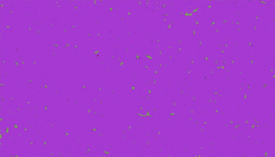Image generated with the transformer in 8 bits: a near-uniform purple field